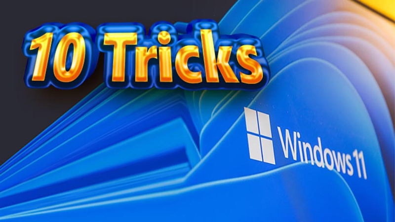 Windows 11