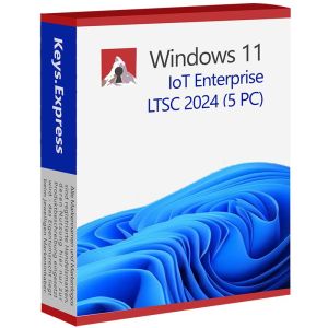 Microsoft Windows 11 Enterprise IoT LTSC 2024 Key (5 PC)