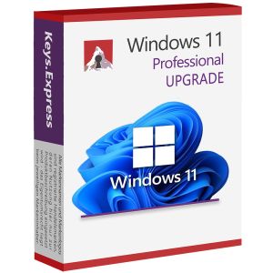 Windows 11 Pro Upgrade Key