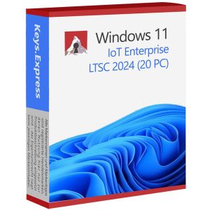 Microsoft Windows 11 Enterprise IoT LTSC 2024 Key (20 PC)