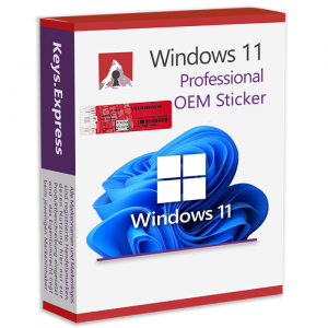 Microsoft Windows 11 Enterprise Key (5 PC)