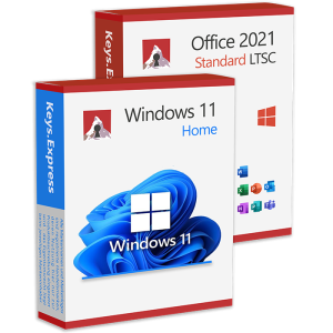 Office 2021 Standard & Win 11 Home Keys