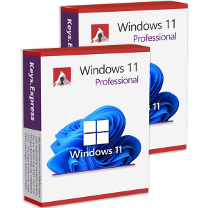 Windows 11 Pro (2 Keys)
