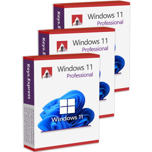 Windows 11 Pro (3 Keys)