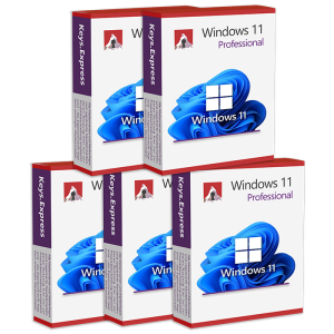 Windows 11 Pro (5 Keys)