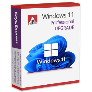 Windows 11 Pro Upgrade Key