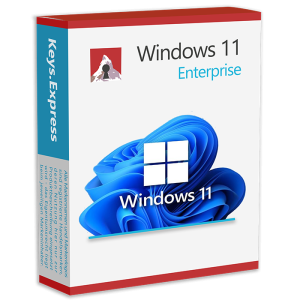 Windows 11 Enterprise Key