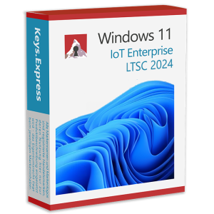 Windows 11 Enterprise IoT LTSC 2024 Key