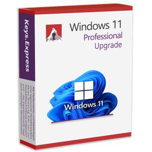 Windows 11 Upgrade